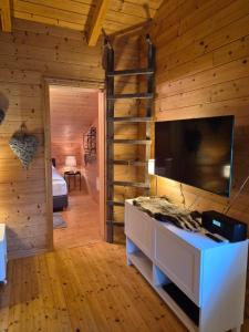 a living room with a large television in a log cabin at Seewaldhüttn in Oberaichwald