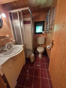 a small bathroom with a sink and a toilet at Seewaldhüttn in Oberaichwald +47 photos