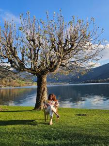 a woman sitting on a chair under a tree next to a lake at Ferienwohnungen am See _ Hinterseer in Schliersee