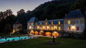 an estate with a large building with a pool at Château d'Argentonesse in Castels