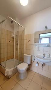 a bathroom with a toilet and a shower and a sink at Willa Akme in Stronie Śląskie +67 photos