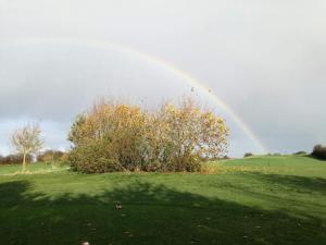 a rainbow over a green field with a tree at 4 person holiday home in Aabenraa in Aabenraa
