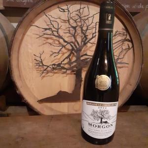 a bottle of wine sitting next to a wine barrel at Foudres du Chêne du Py in Villié-Morgon