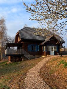 a wooden house on top of a hill at Tropianka - sielski dom na skraju wsi in Tropie