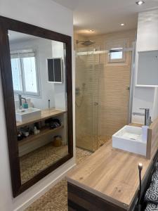 a bathroom with a shower and a sink and a mirror at T2 design climatisé au coeur de Divonne in Divonne-les-Bains +11 photos