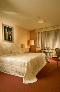 ein Schlafzimmer mit einem großen Bett in einem Zimmer in der Unterkunft Hotel Krone in Wangen an der Aare