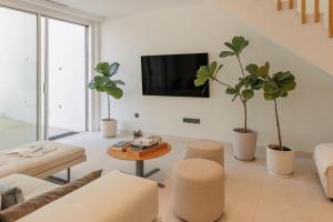 a living room with potted plants and a tv at Villa Lazareto in Kontokali