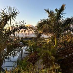 a resort with palm trees and a body of water at Agrocamping Invernaderito in Tejina