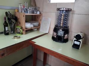a kitchen counter with a blender on top of it at Agrocamping Invernaderito in Tejina