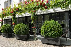 Zahrada ubytování Hotel Krone