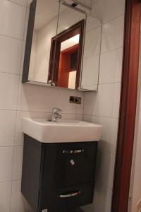 a bathroom with a sink and a mirror at Ferienwohnungen Kolsdorf B in Braunlage