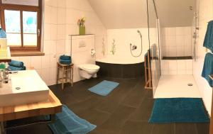 a bathroom with a shower and a toilet and a sink at Premium Apartment - großzügig & zentral wohnen in Schwarzenberg