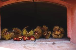 a group of durian fruit sitting in a oven at Casale Pomodoro in Manziana
