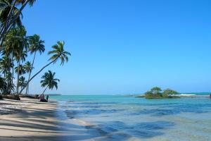 a beach with palm trees and the ocean at Flat Carneiros Beach Resort in Tamandaré