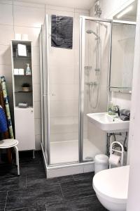 a bathroom with a shower and a toilet and a sink at Ferienhaus Klaus in Berumbur +10 photos