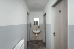 a bathroom with a sink and a toilet in it at Ubytování AMZ in Vrábí