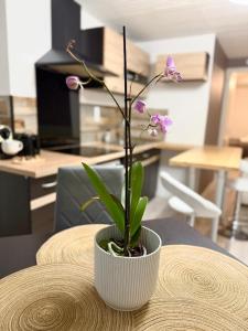a white vase with a plant on a table at Appartement Neuf in Rive-de-Gier