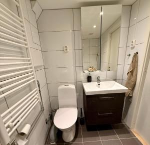 a bathroom with a toilet and a sink and a mirror at Charmigt in Gränna