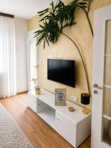 a living room with a tv on a wall at Apartman MATEJ in Vranješ