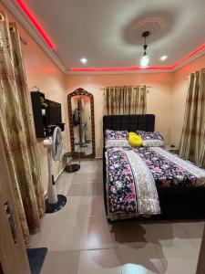 a bedroom with a bed and a mirror at RYN Apartment Ayobo-Ishefun, Lagos Flat1 in Itele