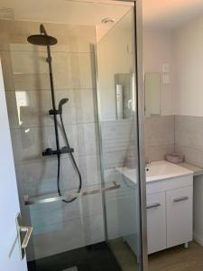 a bathroom with a shower and a sink at Gîte du Phare in Lanquais