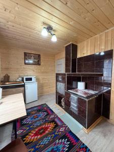 a room with a kitchen with a stove and a table at Трофейна хатина in Krivopolʼye +13 photos