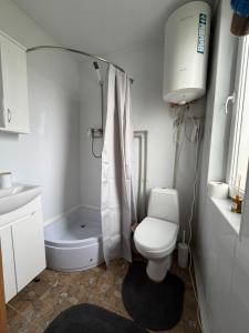 a white bathroom with a toilet and a sink at Трофейна хатина in Krivopolʼye