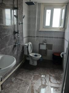 a bathroom with a toilet and a sink and a shower at Hostel Center Plovdiv in Plovdiv