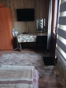 a living room with a bed and a television at Hostel Center Plovdiv in Plovdiv +15 photos
