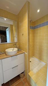 a bathroom with a sink and a shower at Le clédier de cherveix in Solignac +34 photos