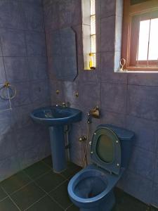 a bathroom with a blue toilet and a sink at LP Residence in Pannipitiya +24 photos