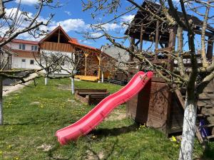 a red slide in a tree in a yard at Krausz Chocolate Guesthouse in Sîntimbru