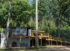 a house with a wrap around deck in the woods at Canvasback Cove on Caddo Lake in Jefferson +28 photos