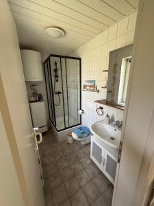 a bathroom with a sink and a toilet and a mirror at Nordwind Sjut in Warnow +24 photos