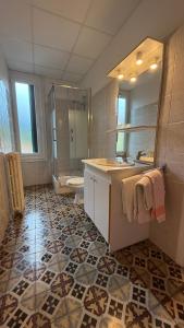 a bathroom with a sink and a shower and a toilet at Hotel restaurant LAISSAC SPEISER in Olargues +27 photos