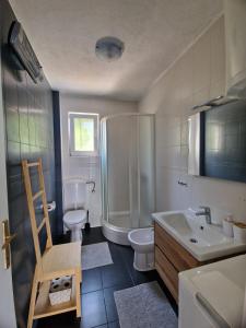 a bathroom with a toilet and a shower and a sink at Panorama in Drvenik Veli +43 photos