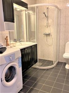 a bathroom with a washing machine and a sink at Voss Resort self-catered apartments in Skulestadmo +277 photos