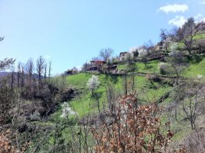 a house on top of a hill with trees at Sabri's Penthouse in Ogled