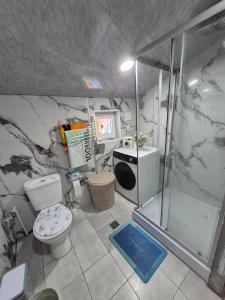 a bathroom with a shower and a toilet and a sink at Lukas cottage in sagarejo in Sagarejo +35 photos
