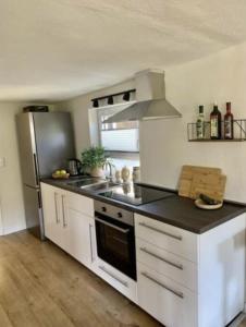 a kitchen with a sink and a refrigerator at Haus Engelbert in Höchheim
