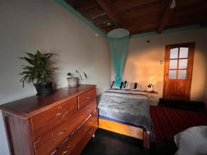 a bedroom with a bed and a dresser with a plant at Wunderschönes Haus mit großer Terrasse in Sauce