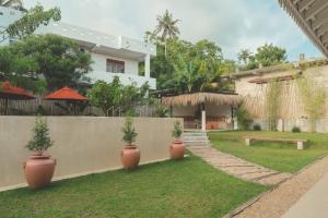 a house with three potted plants in a yard at Casa Mariposa in Ahangama