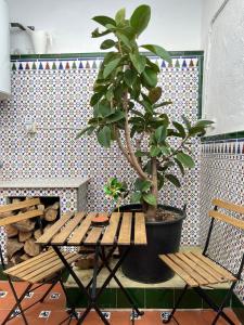 a table and two chairs and a potted plant at Peaceful Townhouse Retreat in Órgiva