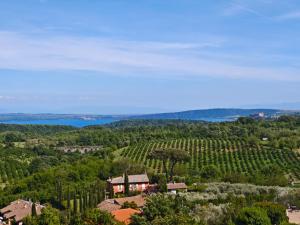 an aerial view of a vineyard with a house and trees at Le Fonti in Manziana