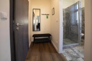 a bathroom with a walk in shower next to a toilet at Penzion u Nás u Hospůdky in Žatec