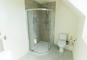 a bathroom with a shower and a toilet at The Summit - Skellig Coast in Cahersiveen