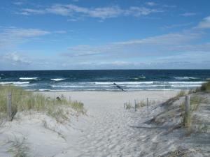 a sandy beach with the ocean in the background at Ferienwohnungen Zum Anker _ Objekt in Diedrichshagen