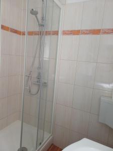 a bathroom with a shower and a toilet at Adria in Pašman
