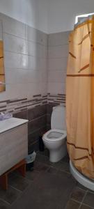 a bathroom with a toilet and a sink at Apartment PAPAS in Mastihari