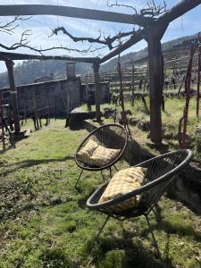 Gallery image of Uba Vineyard en Ribeira Sacra in Chantada